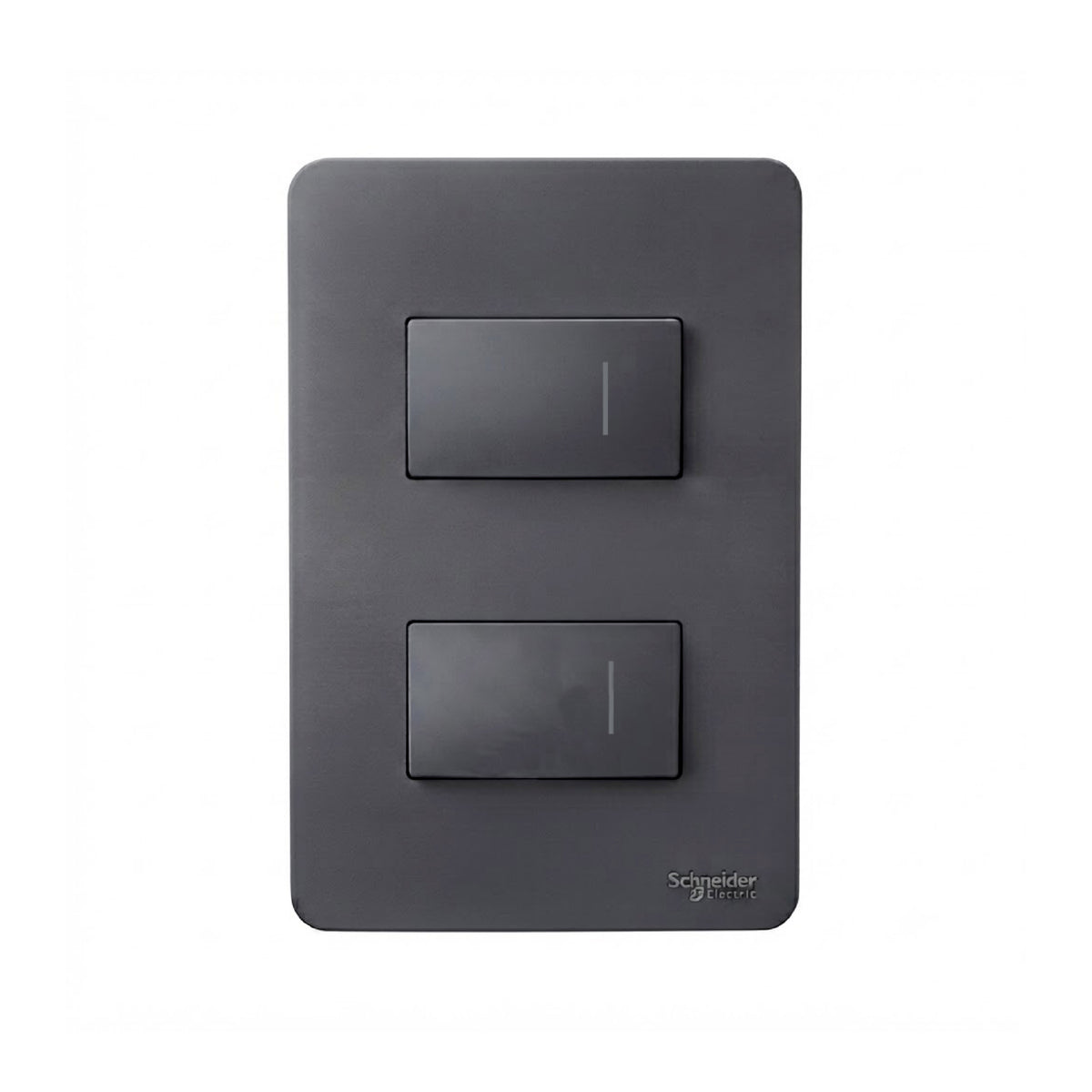 Placa con 2 Apagadores Sencillos Negro Orion Schneider Electric