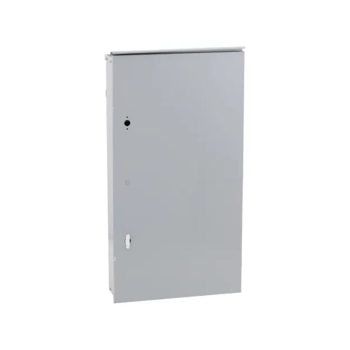 Caja Gabinete para Tablero NQ/NF 20 x 38 x 6.5" Schneider Electric MH38WP