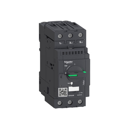 Tesys GV3-Interruptor Magnético-65 A-Conectores Everlink Btr Schneider Electric GV3L65