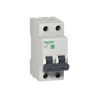Interruptor Termomagnético Easy9 2 Polos 10 A Curva C Riel Din Schneider Electric EZ9F56210