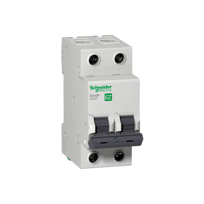 Interruptor Termomagnético Easy9 2 Polos 16 A Curva C Riel Din Schneider Electric EZ9F56216