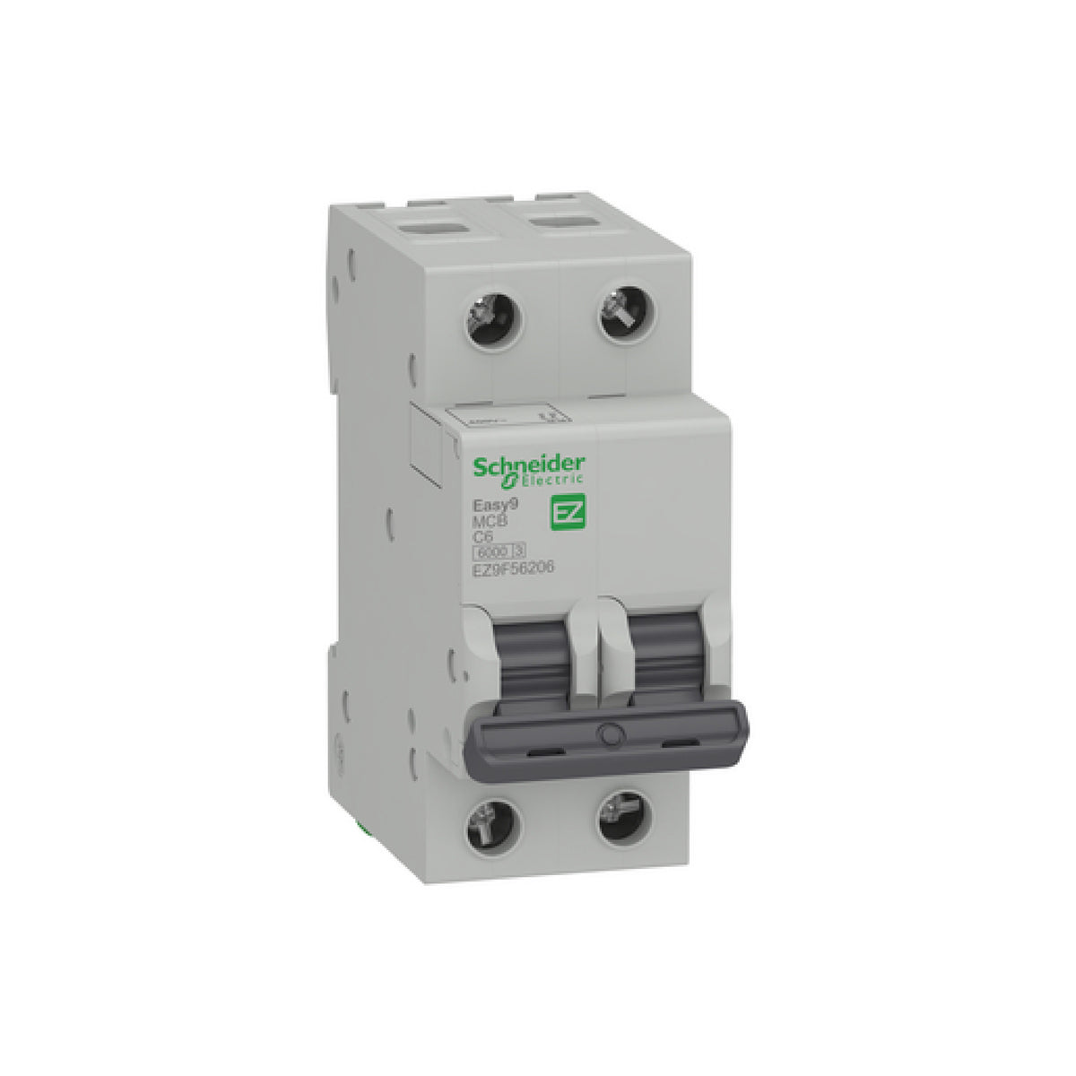 Interruptor Termomagnético Easy9 2 Polos 6 A Curva C Riel Din Schneider Electric EZ9F56206