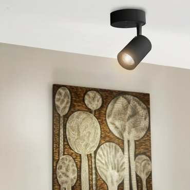 Lámpara de techo dirigible LED Luz cálida 7W Negro Tecnolite