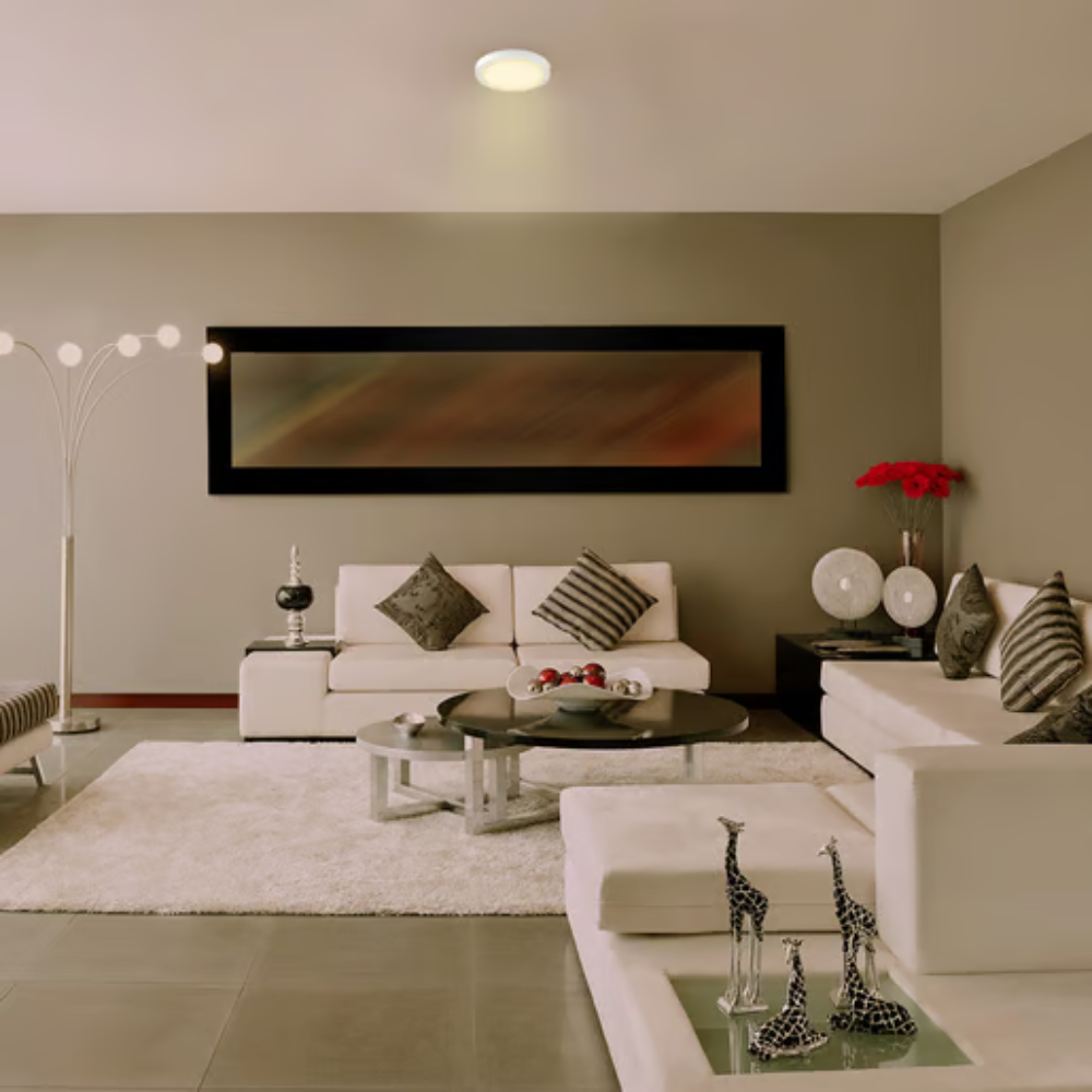 Plafón LED Luz cálida 24W Blanco Ankaa IV Tecnolite