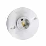 069-WD4820R-Base-portalámpara-Urea-250V-660W-Royer