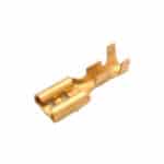 505-TF-3-16L-TERMINAL-DE-LATON-FASION-HEMBRA-DESNUDA