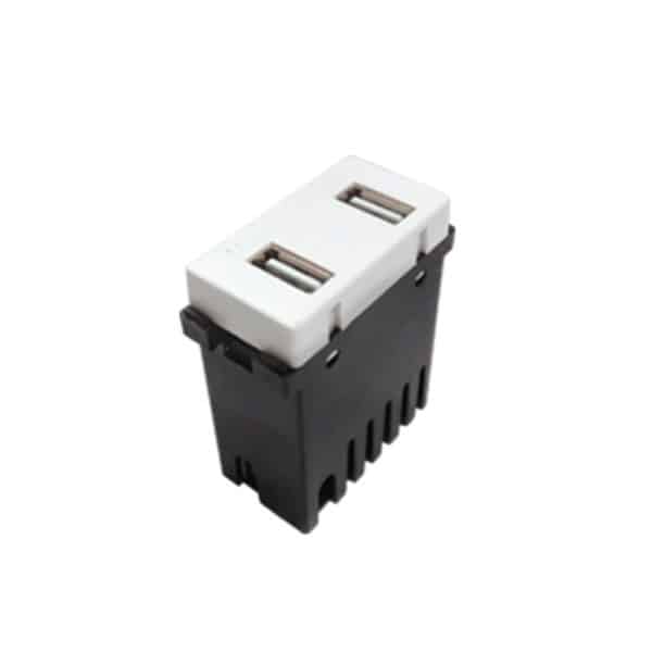 Módulo-2-puertos-USB-Blanco-Royer-100-Eaton--069-100-USB-W