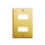 Placa-de-2-módulos-Aluminio-Dorado-c-tornillos-y-chasis-Royer--069-5362