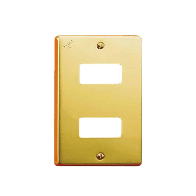 Placa-de-2-módulos-Aluminio-Dorado-c-tornillos-y-chasis-Royer--069-5362
